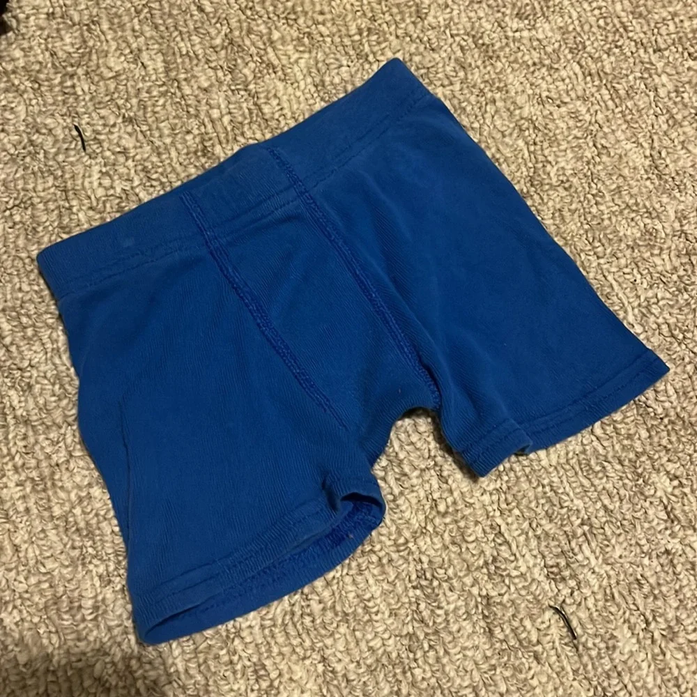 Boys Toddler 2T/3T Underwear Fruit of the Loom Navy & White, Royal Blue Hanes